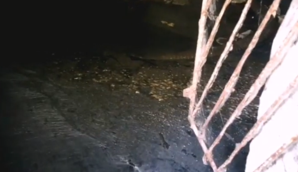 Жители ульяновского посёлка Цильна два года задыхаются от запаха застоявшихся фекалий