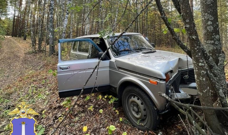 «Нива» протаранила дерево на трассе «Казань – Буинск – Ульяновск»