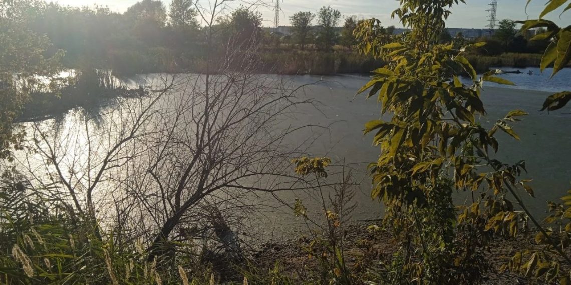Шолмовскому пруду в Ульяновске опасность не грозит – Минприроды