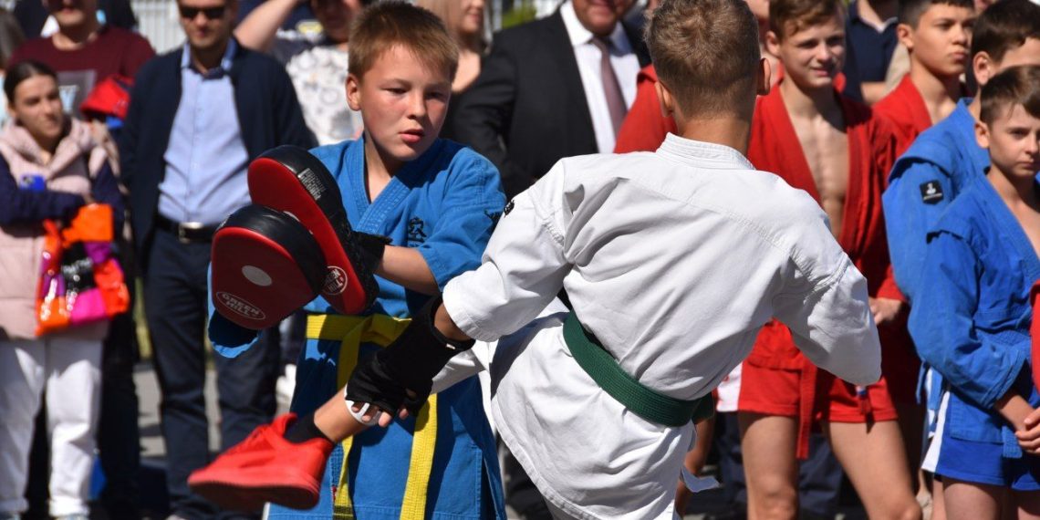 В День города у «Аквамолла» в Ульяновске пройдёт фестиваль единоборств