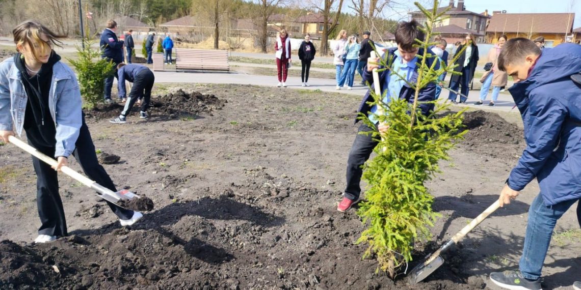 Мэрия собралась высадить этой осенью в Ульяновске тысячу кустарников и 635 деревьев
