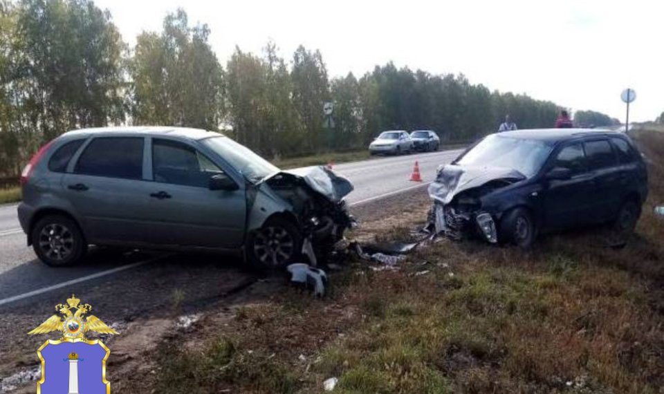 Две «Калины» сшиблись лоб в лоб на трассе в Кузоватовском районе