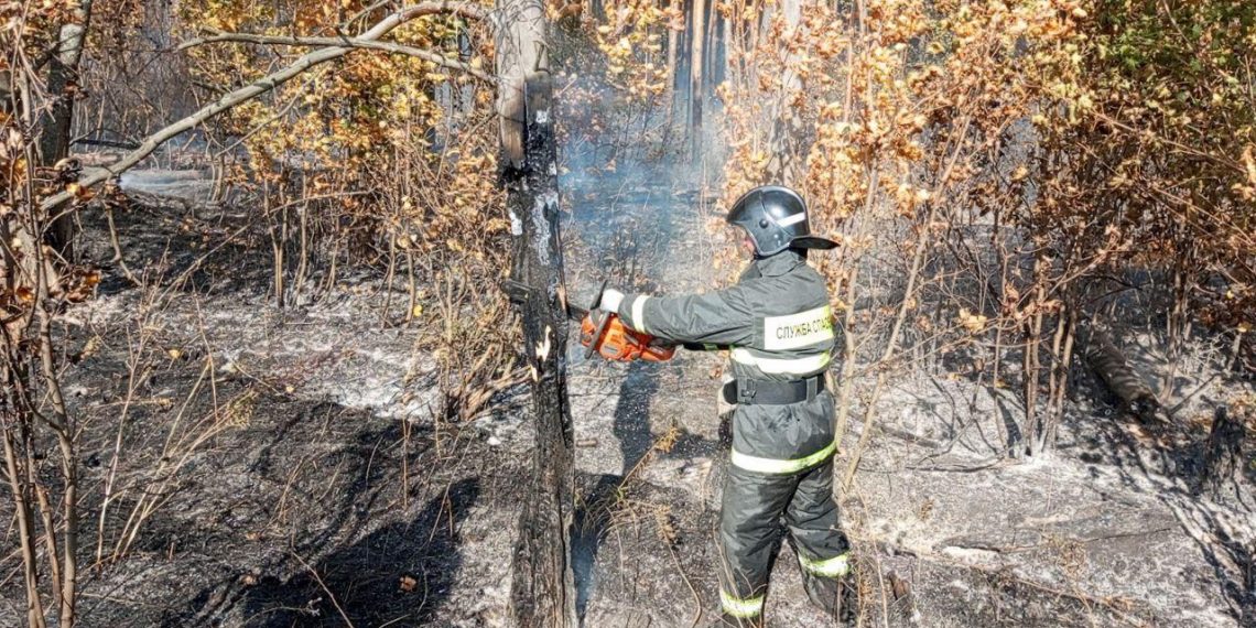 Лес и поле загорелись в ульяновском посёлке Поливно