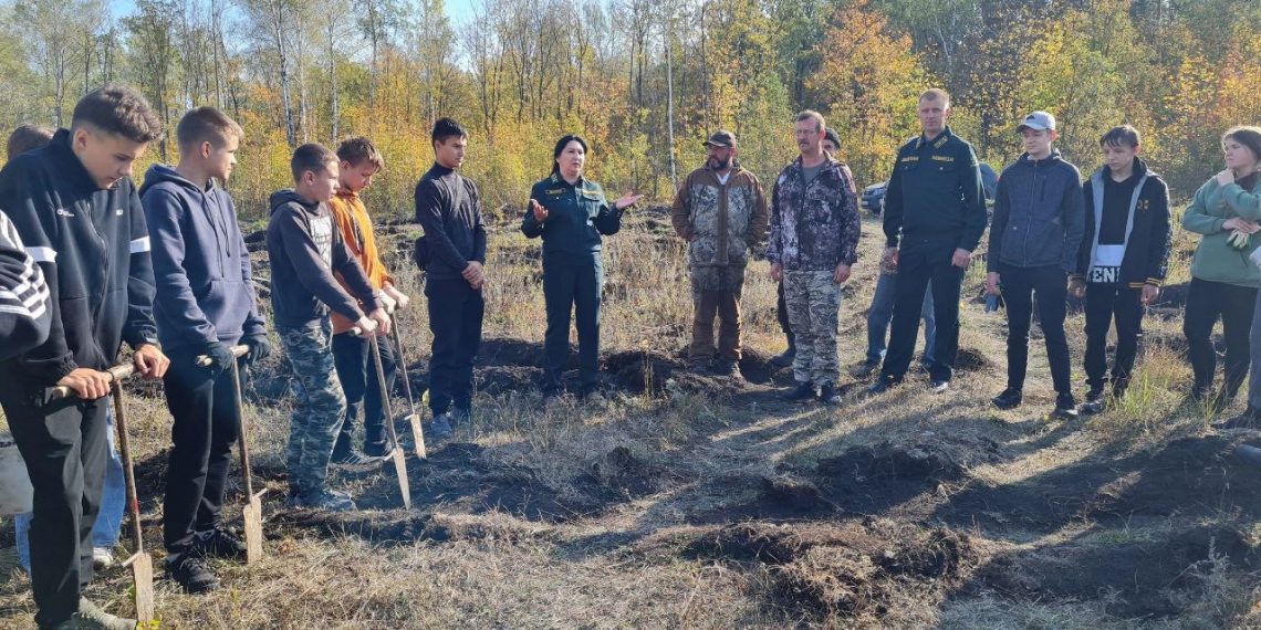 Сенгилеевцы посадили 1600 сосёнок в компании с министром