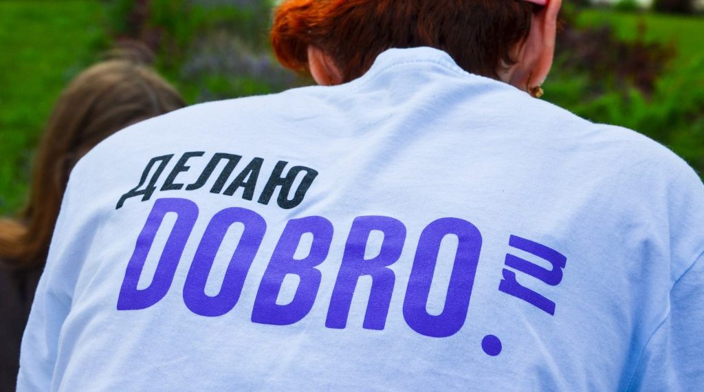 В ульяновский парк «Владимирский сад» срочно требуются волонтёры