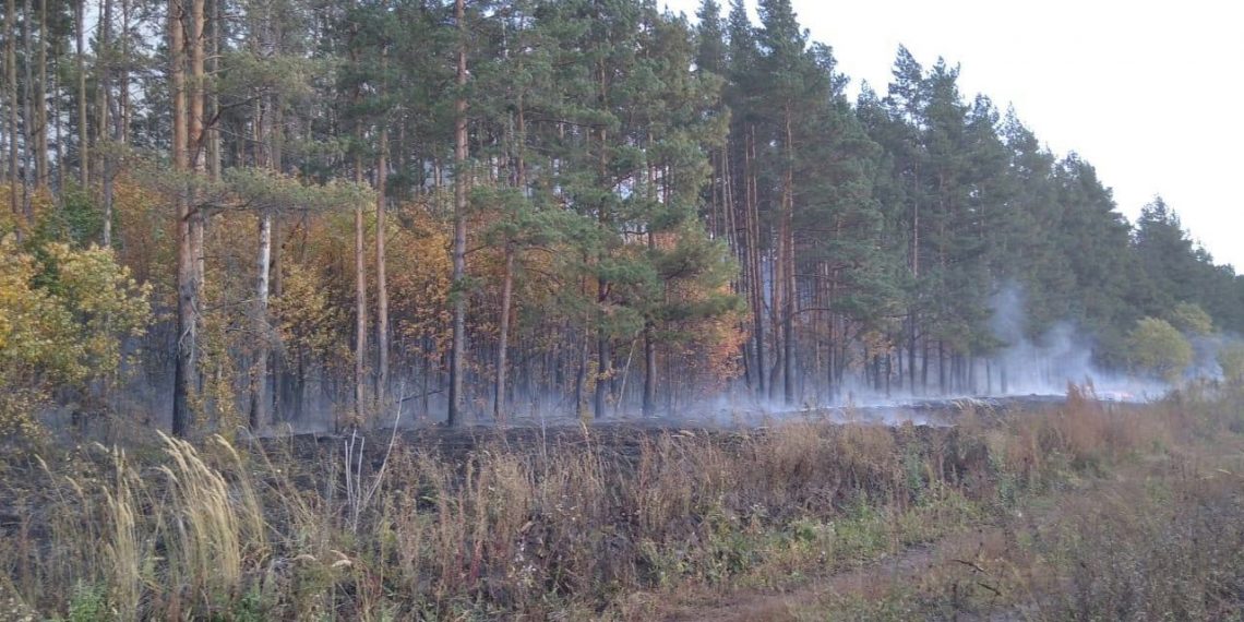 Установлена причина вчерашнего природного пожара в Поливно