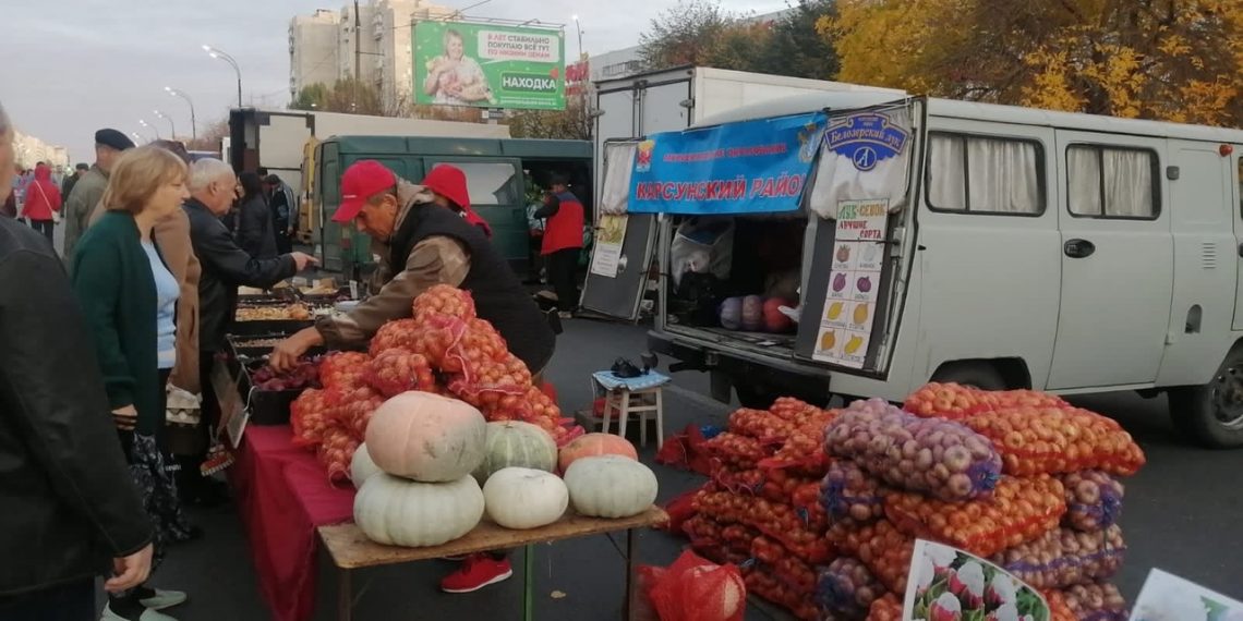На ярмарке в Новом городе ульяновцы закупились 79,3 тоннами овощей