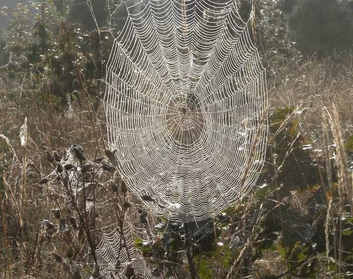 Экс-чиновник из Ульяновска получил 13 лет строгого режима