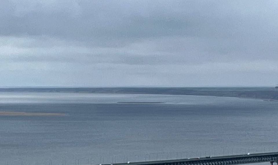 Волга в районе Ульяновска продолжает мелеть