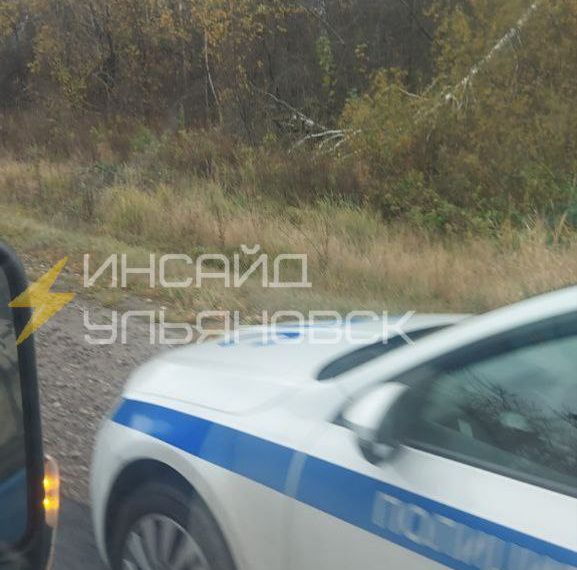 Ульяновские сотрудники ДПС помогли грибникам