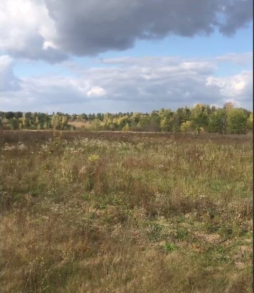 Полигон для хранения и переработки ТБО все же построят в Майнском районе