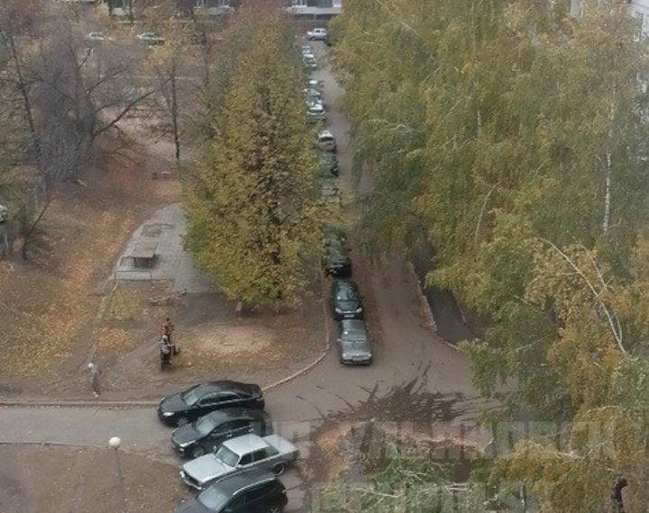 Непогода в Ульяновске валит деревья во дворах