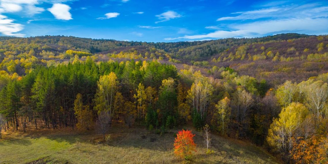 Последние денечки золотой осени в нацпарке Сенгилеевские горы