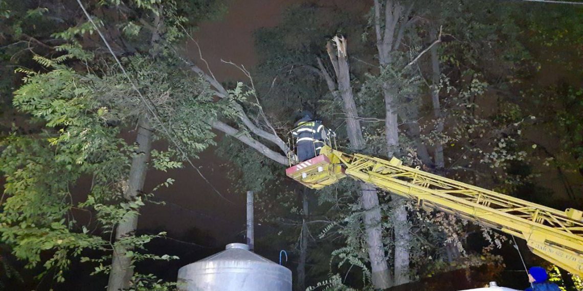 Городские службы устраняют последствия урагана