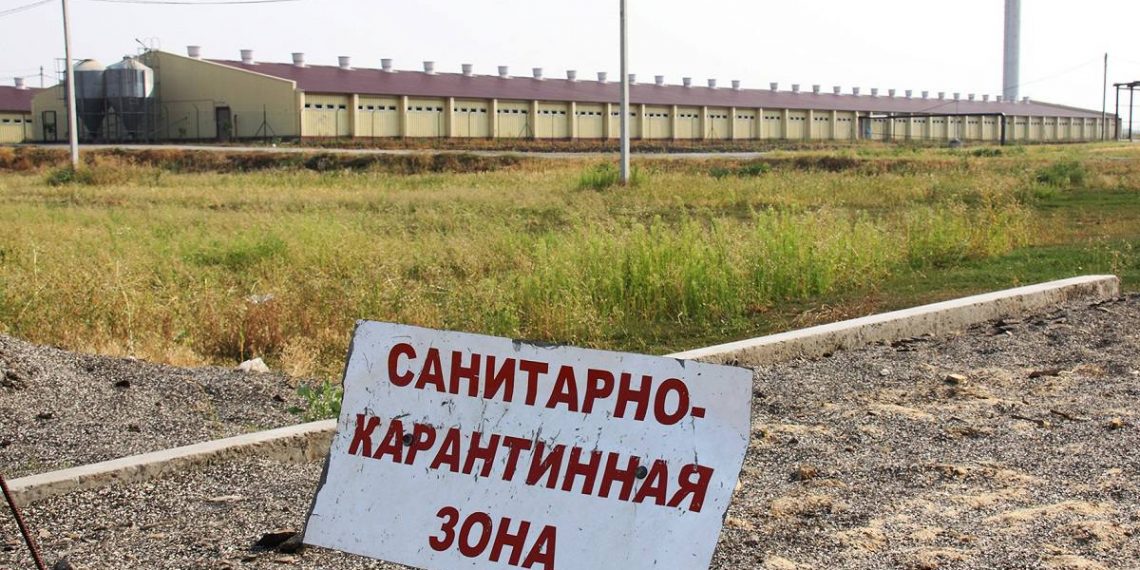 В Цильнинском районе обнаружено опасное растение