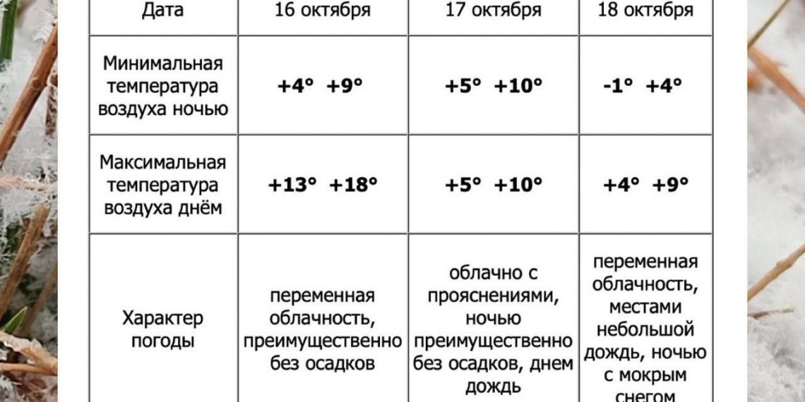 Завтра в Ульяновске резко похолодает