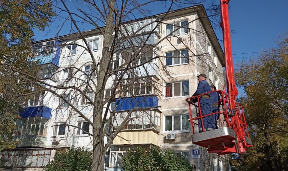 Всего за неделю в Ульяновске снесли почти сотню аварийных деревьев