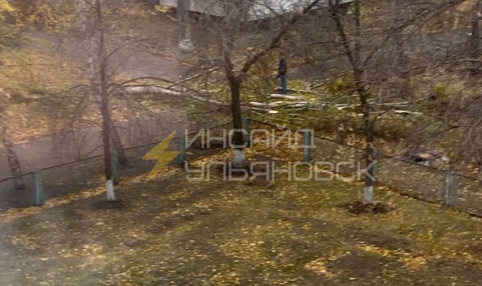 Дерево упало на ребенка в Ульяновске