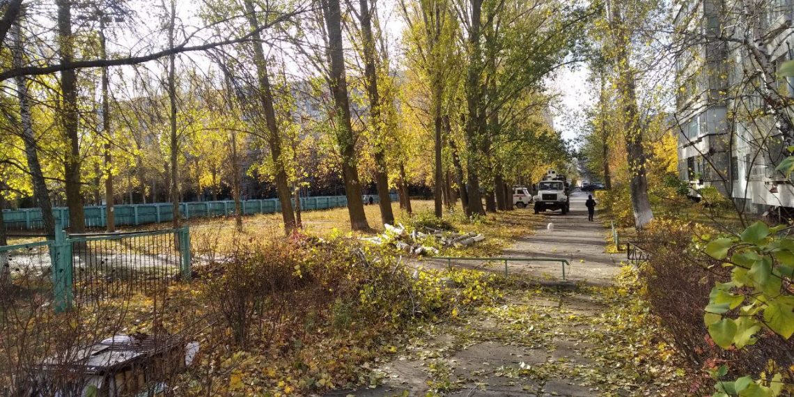 Администрация Ульяновска начала проверку по факту падения дерева на ребенка