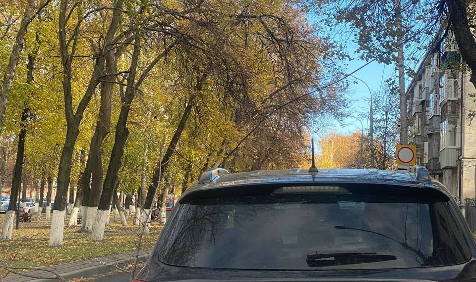 Синоптики спрогнозировали ослабление ветра