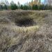 Воронка неизвестного происхождения обнаружена в лесах Ульяновской области