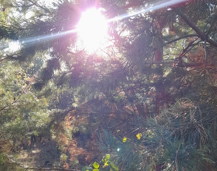 Ульяновские фотохудожники вошли в топы