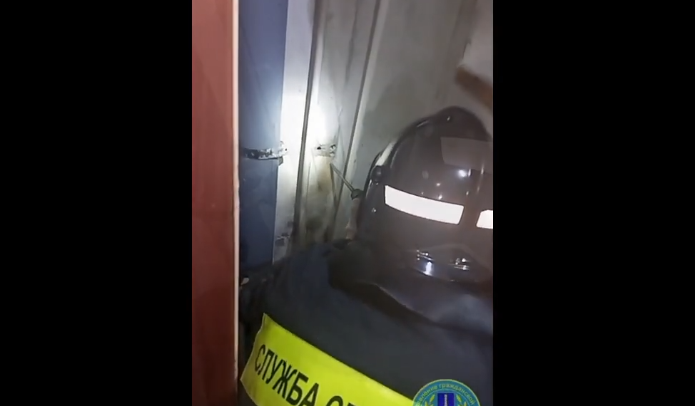 Ульяновская управляющая компания отказалась вытаскивать кота из вентиляционной шахты многоэтажки