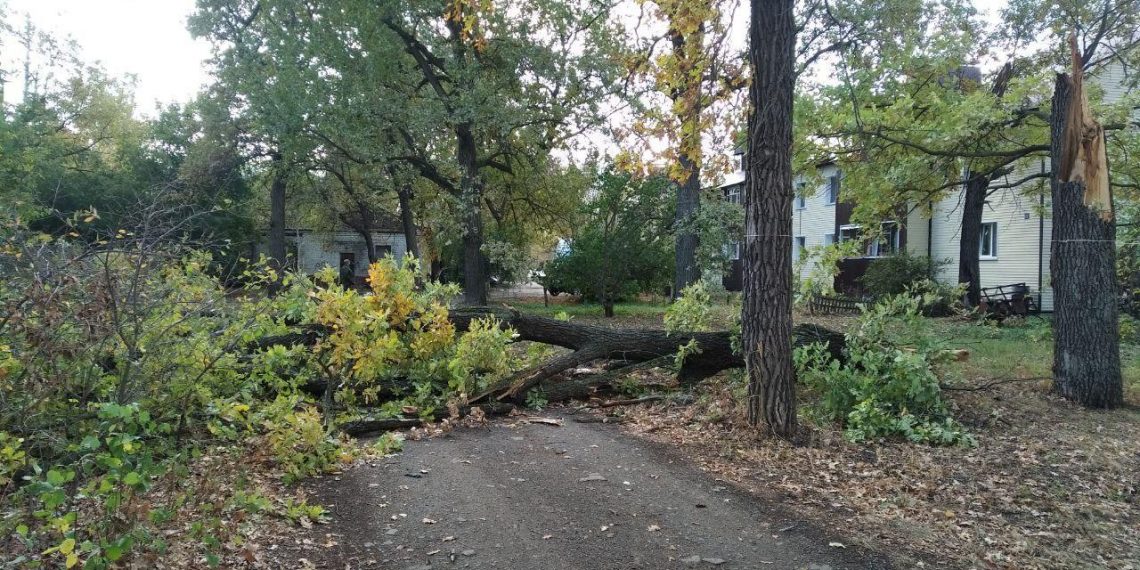 Ульяновские спасатели убрали поваленные ветром деревья