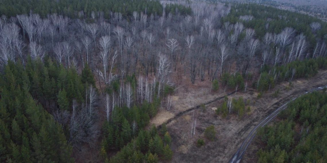 Ульяновский климатолог рассказал о рекордах ноября 2023 года