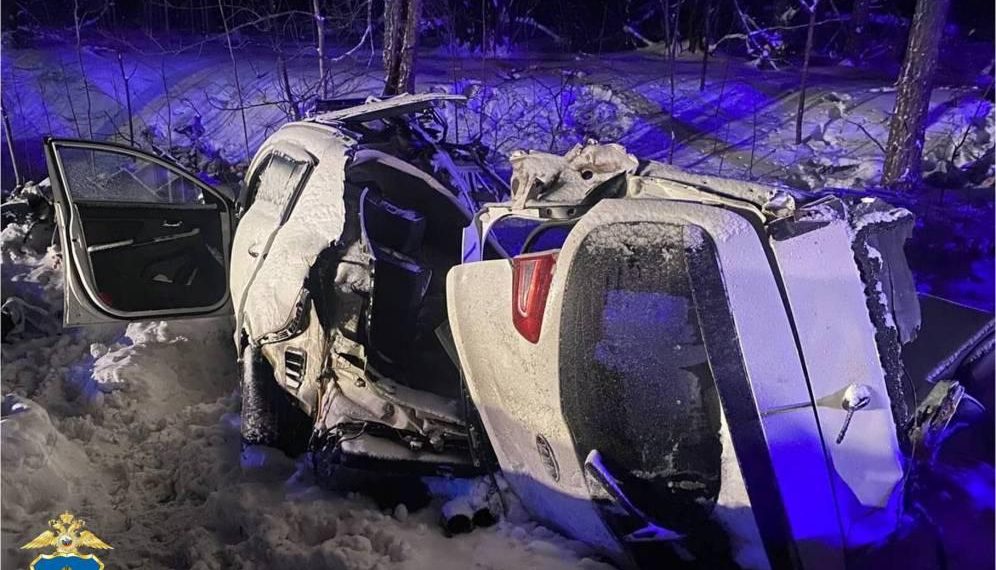 Женщина и девочка погибли, ещё двое детей госпитализированы: под Ульяновском кроссовер влетел в фуру