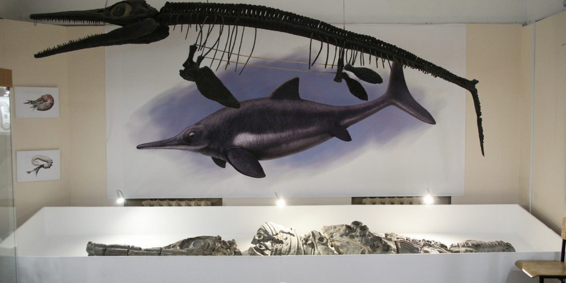 Ульяновский геопарк «Ундория» получит 12,7 млн рублей на «Берег Юрского периода»