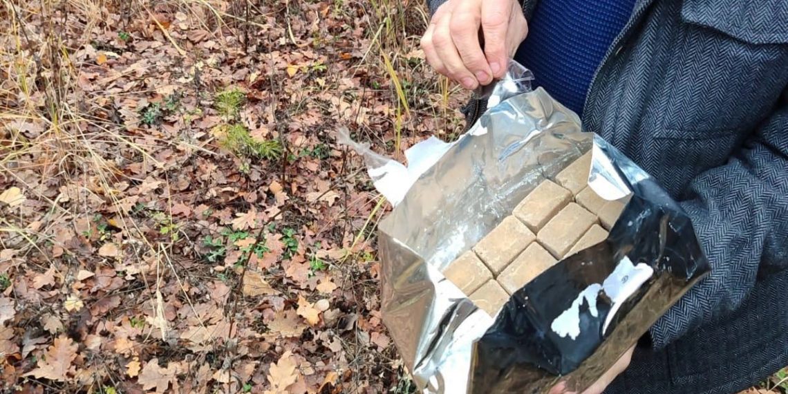 В ульяновских лесах разбрасывают препараты от бешенства для хищников