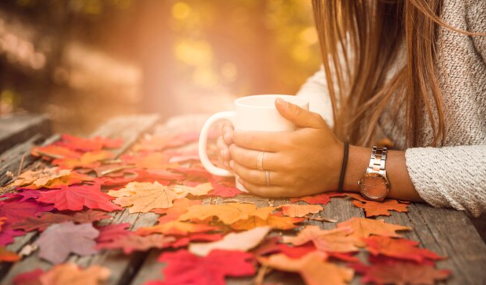 Первая декада ноября порадует ульяновцев весенними температурами