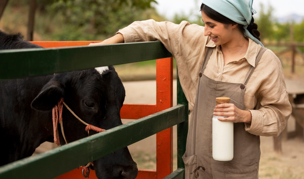 Ульяновские коровы перевыполнили план по молоку