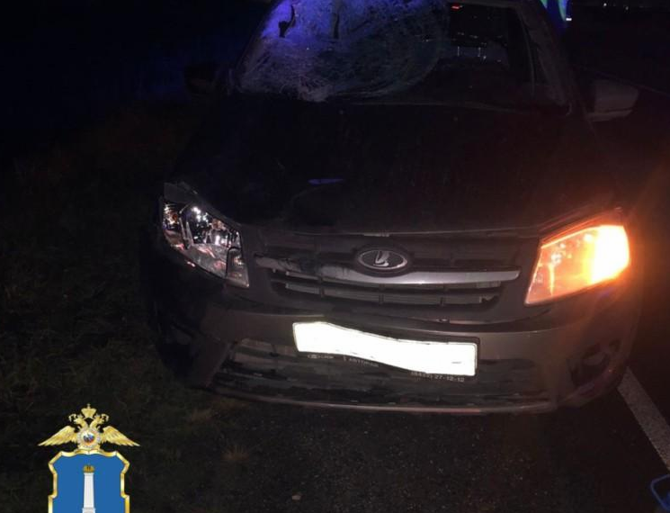 На трассе под Ульяновском пешеход-нарушитель угодил под «Гранту»