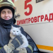 Димитровградские пожарные «прописали» у себя в части кошку Белку