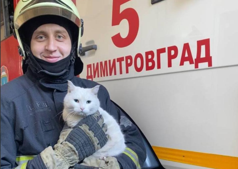 Димитровградские пожарные «прописали» у себя в части кошку Белку