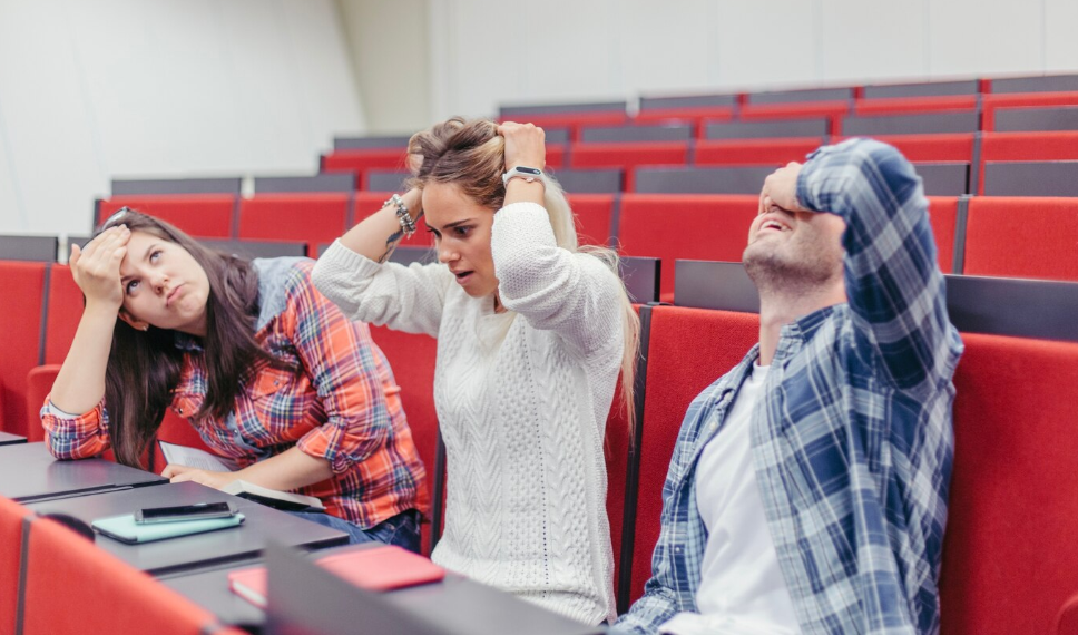 Студентами вузов в 2023 году стали 8 000 молодых ульяновцев