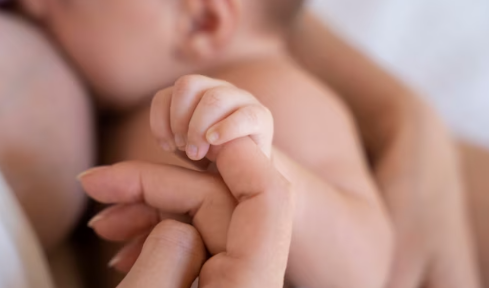 В 2023 году благодаря ЭКО родилось 78 маленьких ульяновцев, за всё время — 875