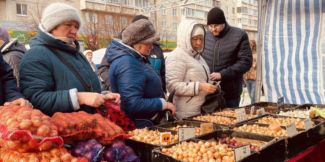 На вчерашней сельхозярмарке в Новом городе 11 тысяч ульяновцев потратили 15 миллионов рублей
