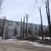 В Ульяновске начали обрезать и сносить опасные деревья у школ и детсадов