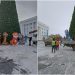 К главной ёлке Ульяновска привезли 12 антивандальных зверей из китайского гороскопа
