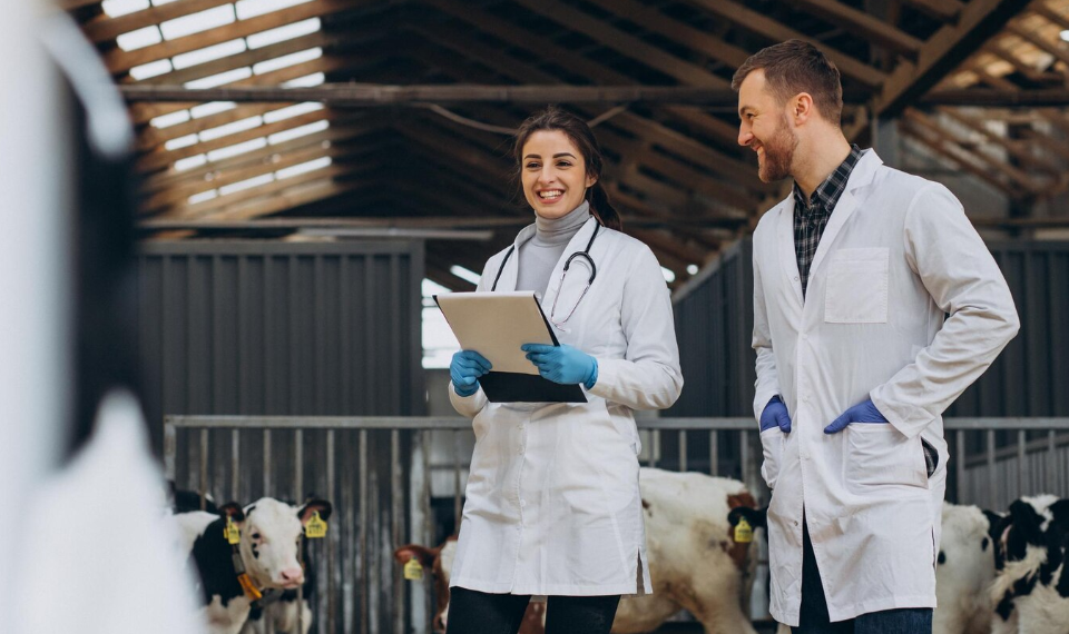 Более трёхсот миллионов направят на развитие ветлабораторий Ульяновской области