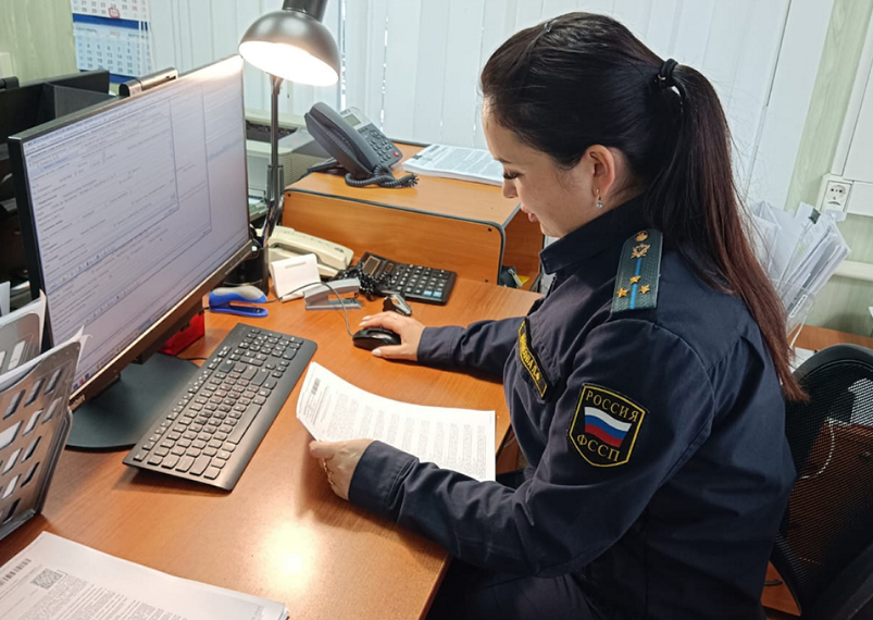 Председатель ульяновского СНТ лишился заграничных поездок за клевету на садовода