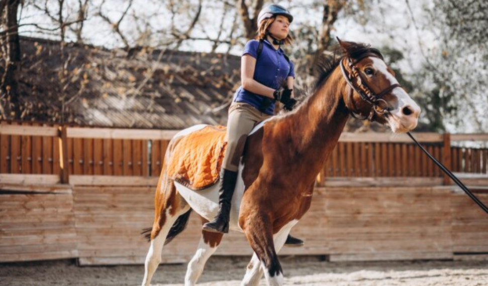 День ульяновского ипподрома пройдёт на ВДНХ в Москве