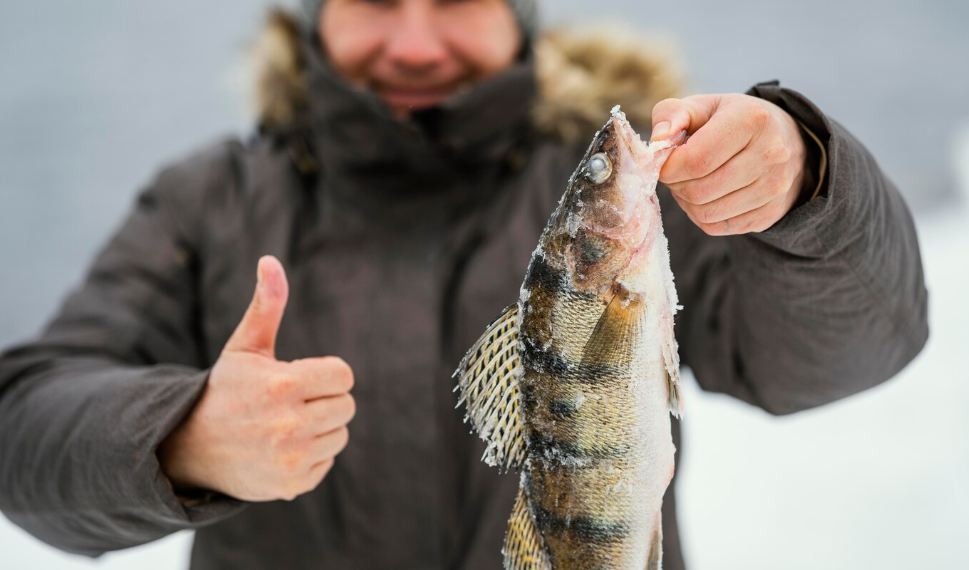 В Старой Майне лучшие рыбаки Ульяновской области посоревнуются в ловле на блесну