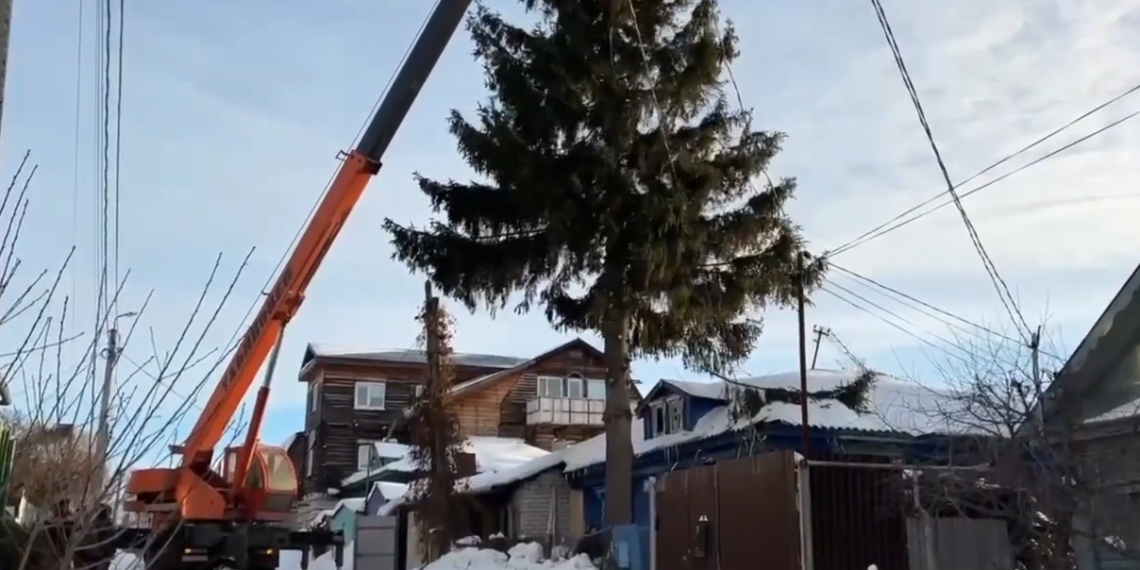 Жители Ульяновска подарили Засвияжскому району огромную ель к Новому году