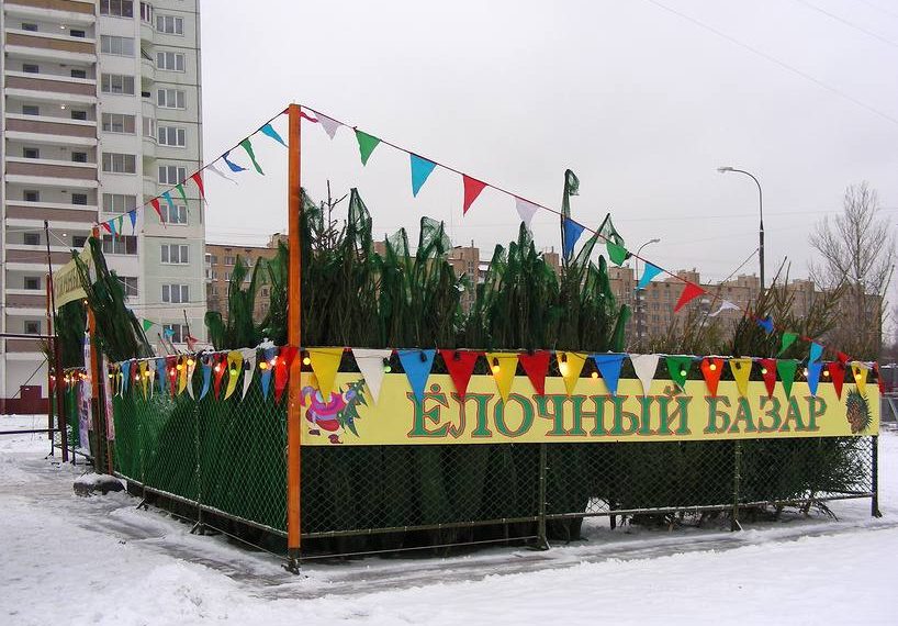 До открытия ёлочных базаров в Ульяновске осталось семь дней