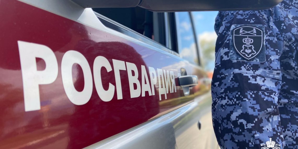 В новогоднюю ночь ульяновцев будут охранять 330 полицейских и росгвардейцев