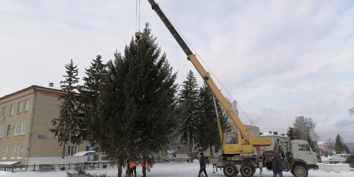 Жительница Юлово подарила Инзе огромную ёлку к Новому году
